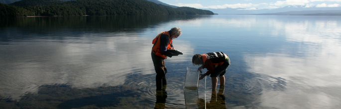 Larry Burrows and Ella Hayman sampling aquatic vegetation at Brod Bay, Lake Te Anau (Peter Johnson)