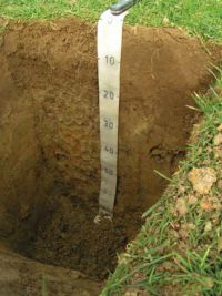 FIGURE 1B Representative soil profile: GOT — Typic Orthic Gley Soils (valley bottoms and in swales and hollows).