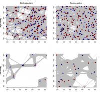 <strong>Fig.1 </strong> Example networks with high and low animal density, and clustered and random spatial distribution patterns (showing the central 36 ha of the 100 ha
modelled). Blue triangles are males and red circles are females, while line thickness is representative of contact rate.