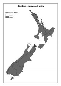 Seabird-burrowed soils: Presence by Region