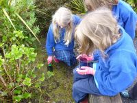 Students collecting & recording a foxglove seedling