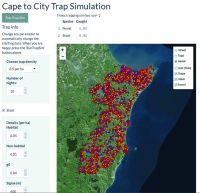 Screen shot of the trapping simulation tool for Cape to City, showing simulated locations of traps (red), stoats (orange) and ferrets (blue).