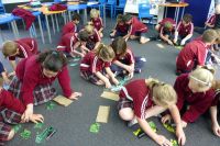 Students assembling weed  jigsaws 