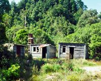 Logging huts amongst bush west of Tihoi