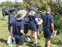 Paroa students finding plants in their school grounds. Photo: Hugh Gourlay, Manaaki Whenua - Landcare Research