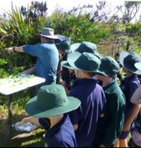 Hugh explains how the white admiral caterpillars are going to be released