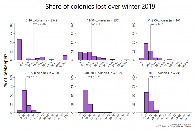 <!--  --> Winter 2019 colony losses as a share of total winter colonies (by operation size)