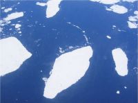 As we get closer to Antarctica blocks of sea ice come into view. (McLeod)