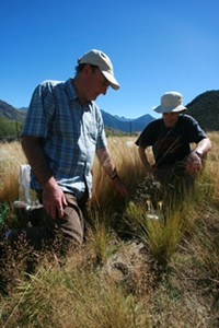 David Whitehead (left) and Andy Midwood at a tussock grassland plot at Cass.