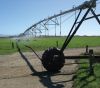 A variable rate irrigation system can shut off water as it passes over a farm track.