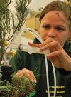 Michelle Weidner – a Dutch intern on 6-months work experience measuring CO2 respired from roots, fungi and the soil in the greenhouse gas research facility. Image - J Hunt