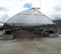 Housing cattle in herd homes – an overseas practice increasingly used in New Zealand 