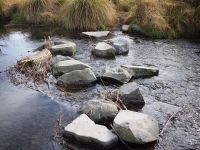 Styx Mill conservation reserve