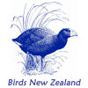 Birds New Zealand