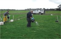 Figure 1. Cattle urine treatments being applied to field plots at Massey University Dairy Farm No.4, by Peter Berben (left) and Doug Drysdale (Royal Society-funded teacher trainee).