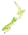 Map 2: Cells with the top 5% of the combined species, genus and genus phylogenetic areas of endemism that occur in the DOC conservation estate (dark green) or in unprotected areas (tan). [Light green are the forested parts of New Zealand]
