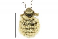 Metacrias strategica (female). Erebidae: Arctiinae. 