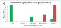 Greater Wellington/Maroborough/Canterbury