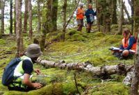 Vegetation survey underway in a New Zealand forest 