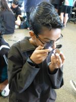Student using a hand-lens 