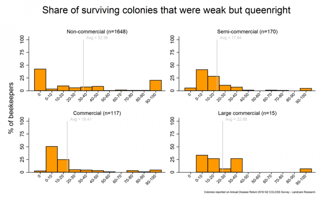 <!-- Colonies that survived winter 2016 and that were weak but queenright based on reports from all respondents, by operation size. --> Colonies that survived winter 2016 and that were weak but queenright based on reports from all respondents, by operation size.