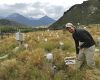 Scott Graeme (PhD student) measuring effects of increased soil temperature on soil respiration, Cass