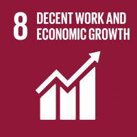 Goal 8: Decent work & economic growth