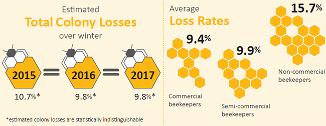 <!-- <strong>More:</strong> 
<a href=https://oldwww.landcareresearch.co.nz/science/portfolios/enhancing-policy-effectiveness/bee-health/2017-survey/average-losses-by-commercial-operator-by-region>Colony losses 2017</a><br>
<a href=https://oldwww.landcareresearch.co.nz/science/portfolios/enhancing-policy-effectiveness/bee-health/2016-survey/winter-2016-losses>Colony losses 2016</a><br>
<a href=https://oldwww.landcareresearch.co.nz/science/portfolios/enhancing-policy-effectiveness/bee-health/2015-results/winter-2015-losses>Colony losses 2015</a> --> 