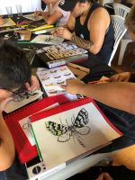 Careful colouring of moth images after examination of the moth identification guides to improve ID skills