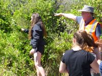 The first Greymouth High School student to release Honshu white admiral butterfly caterpillars. Photo: Murray Dawson, Manaaki Whenua - Landcare Research