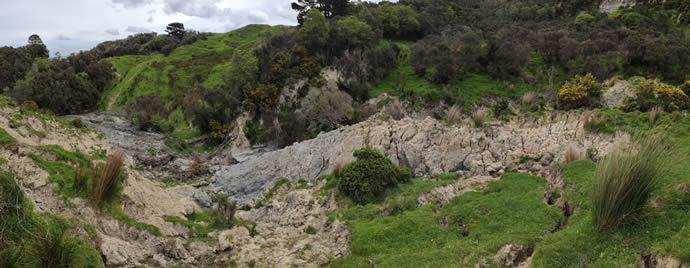 Extensive earthflow in the upper Tiraumea catchment, a tributary of the Manawatū River.