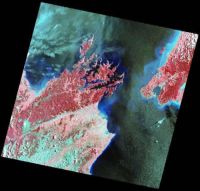 Landsat-7 ETM+.  Marlborough. Path 73 Row 88 s.a.t. south. 30 December 2001.