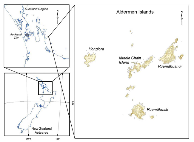 The Aldermen Islands, commonly known among Hauraki Māori as the Ruamaahua Islands.
