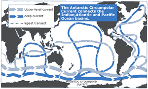 The ACCconnects the Indian, Atlantic, and Pacific Ocean basins.