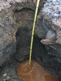 Groundwater at the bottom of a soil pit on disturbed soils. Note the buried wood. (Balks)