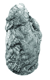 Moa coprolites from Dart River, West Otago. 