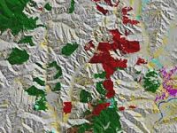 Extract from EcoSat basic land cover of Manawatu/Wanganui region