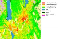 Preliminary map of percentage of living vegetation in the high country areas of the Mackenzie Basin