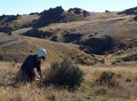 Monitoring predator numbers in the Macraes Flat area. Image – Grant Norbury.