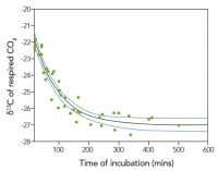 Figure 2. The effect of length of incubation on the 13C isotopic signature of CO<sub>2</sub> from soil respiration, following a disturbance to the soil. The change in signature is due to the start of a rapid turnover of labile soil C. The blue lines show 95% confidence intervals.
