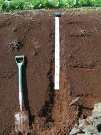 FIGURE 1D Representative soil profile: NOT — Typic Orthic Granular Soils (landscape shedding water e.g. hill tops and ridges).