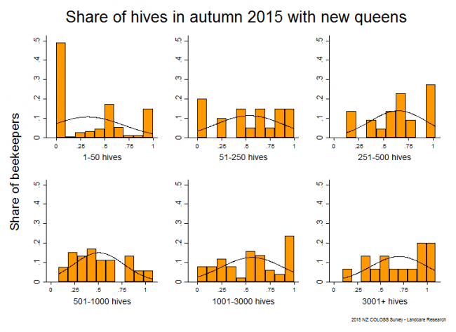 <!--  --> New Queens in Hives: Hives that had new queens in autumn 2015 based on reports from all respondents, by operation size.