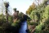 Riparian planting helps filter out sediment and nutrients before they enter waterways.