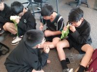 Students using hand-lenses to examine arum lilly flowers 