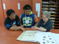 Ines Schonberger explaining about herbarium specimens