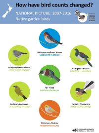 Native birds - national picture