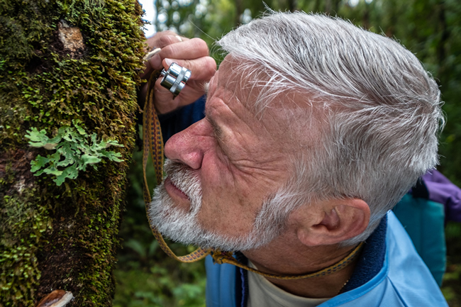 Dr Peter Buchanan examining a specimen of Fomes hemitephrus