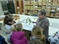Ines Schoenberger with Kaniere School students in the Allan Herbarium workroom