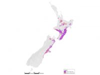 Land area where the tested environmental factors are identical to those in the parts of Hawke’s Bay invaded by lesser calamint. 