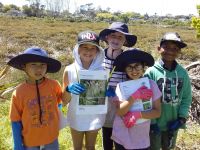 Students collecting pampas. Photographed by a student of Wakaaranga Primary School